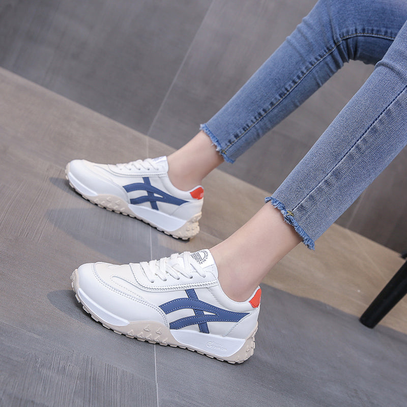 مينوكونفورت | مينوبيا