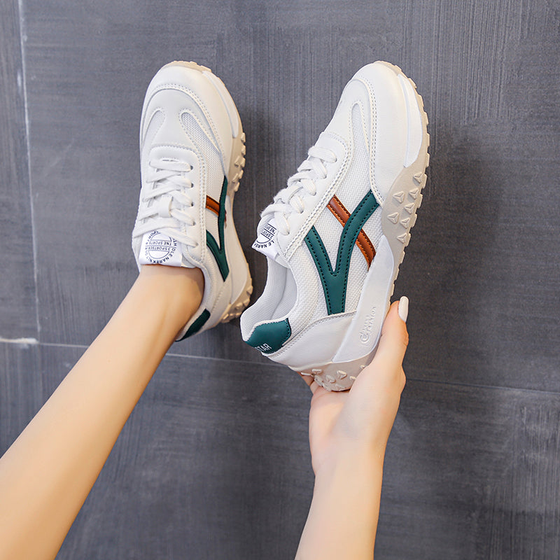 مينوكونفورت | مينوبيا