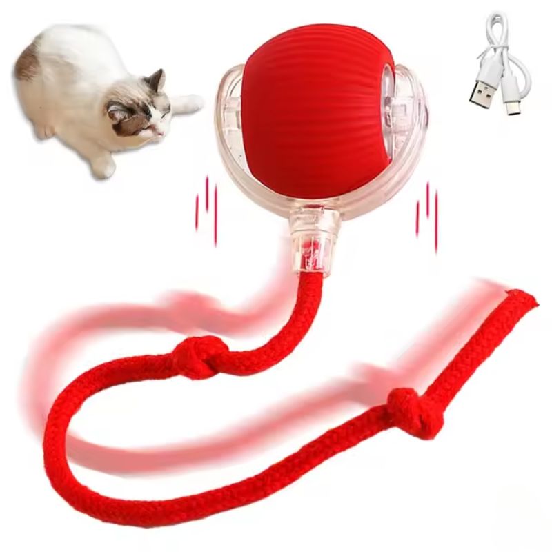 Bouncend speelgoed voor actieve en nieuwsgierige katten