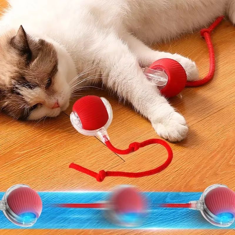 Bouncend speelgoed voor actieve en nieuwsgierige katten