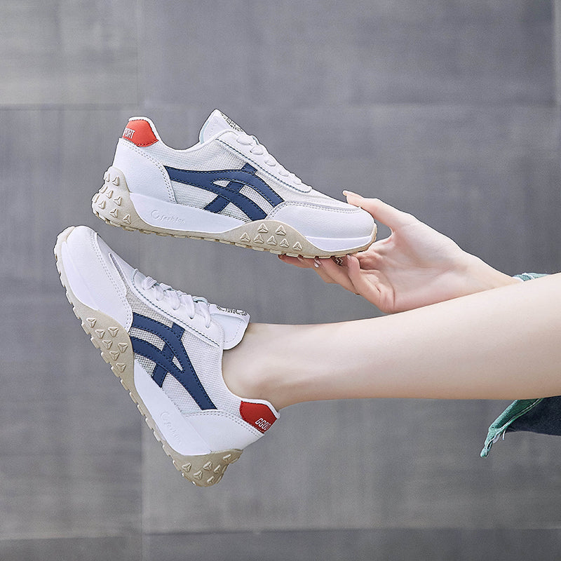 مينوكونفورت | مينوبيا