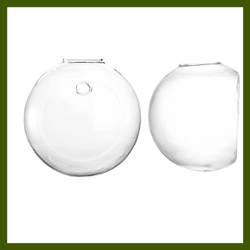 Destaque as suas plantas nas suas paredes, sem furar