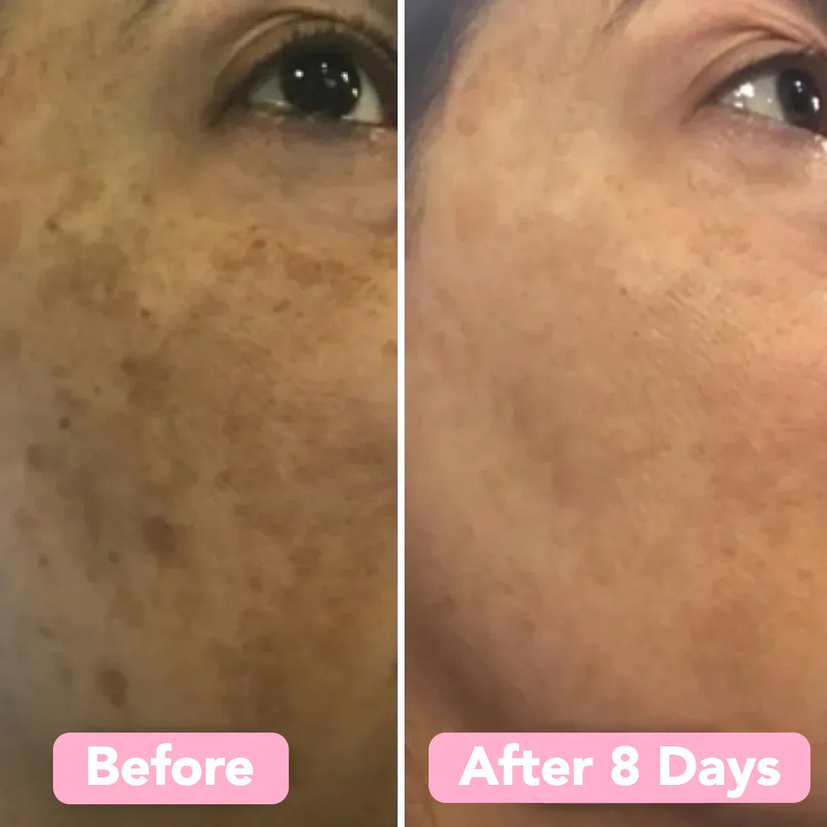 ספוג כורכום – עור נקי ומטוהר באופן טבעי (x40)