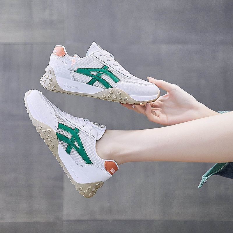 مينوكونفورت | مينوبيا