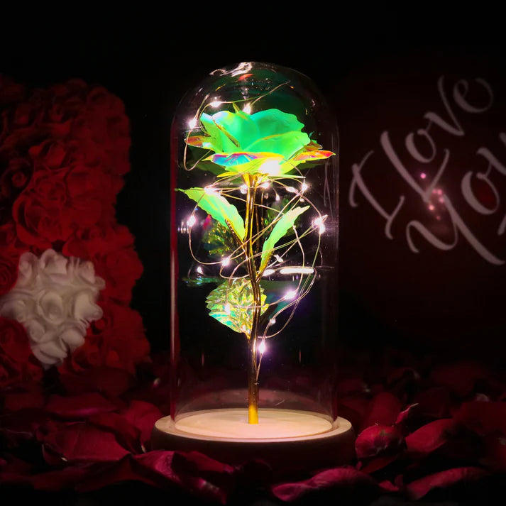 Rosa bajo Campana – Elegancia Lumínica y Atemporal