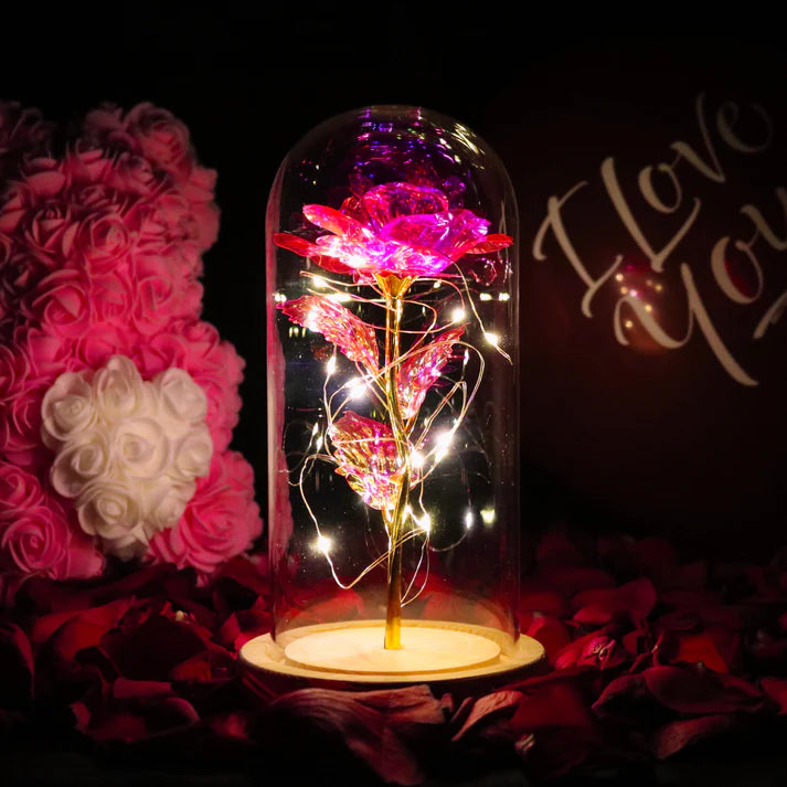 Rosa bajo Campana – Elegancia Lumínica y Atemporal