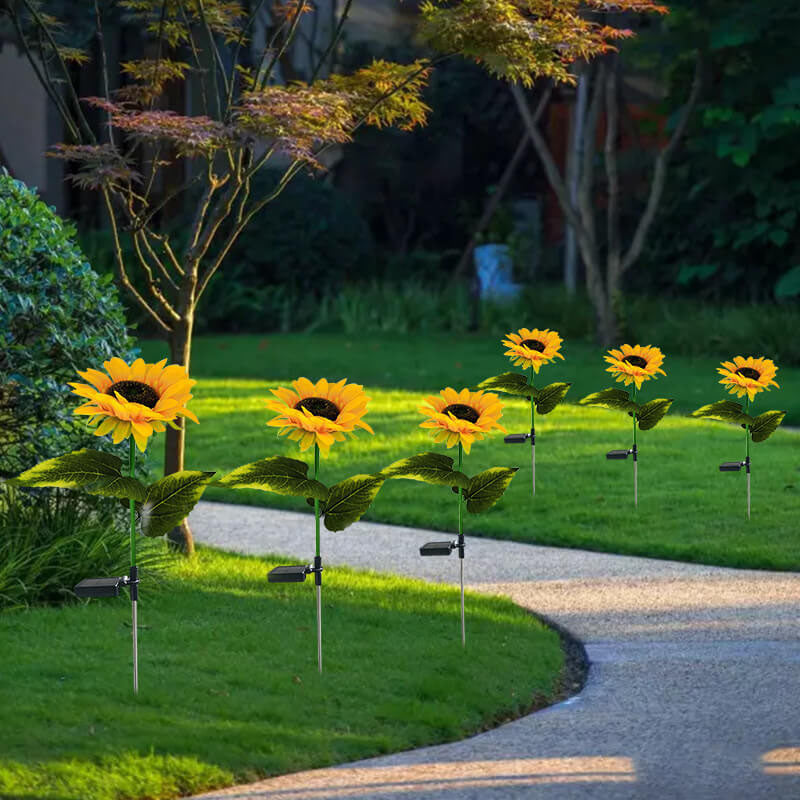 Éclairez votre jardin avec des tournesols solaires