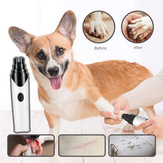 Lima de unhas sem stress para o seu animal 