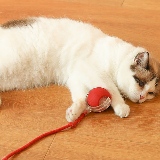 Brinquedo saltitante para gatos ativos e curiosos 
