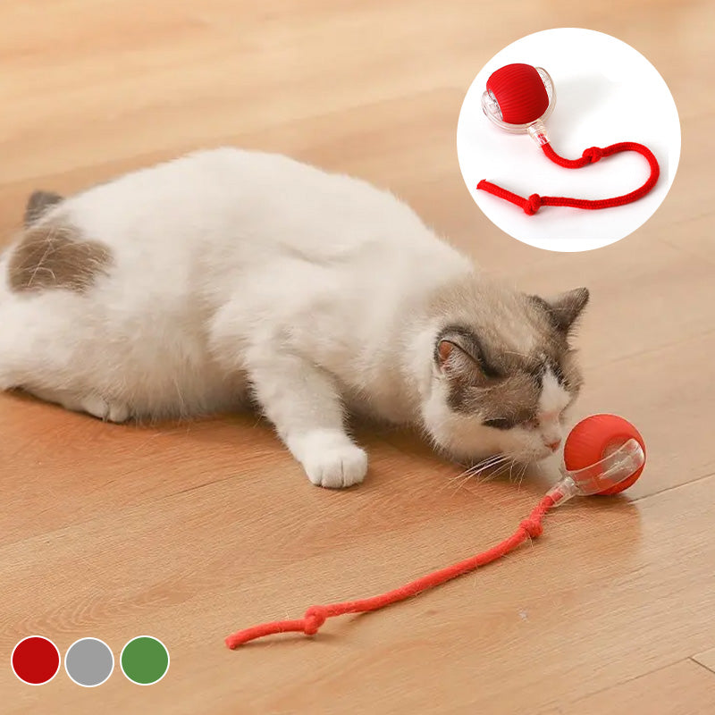 Bouncend speelgoed voor actieve en nieuwsgierige katten 