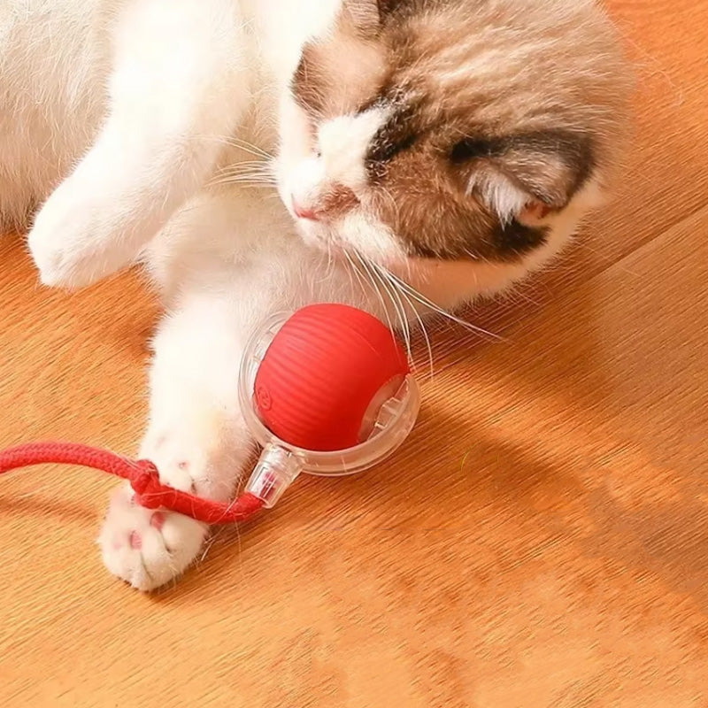Bouncend speelgoed voor actieve en nieuwsgierige katten 