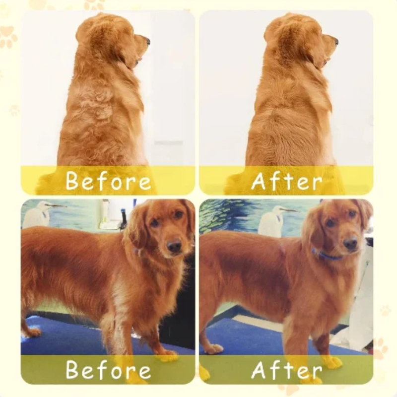 Multifunctional steam brush for perfect grooming of your pet 