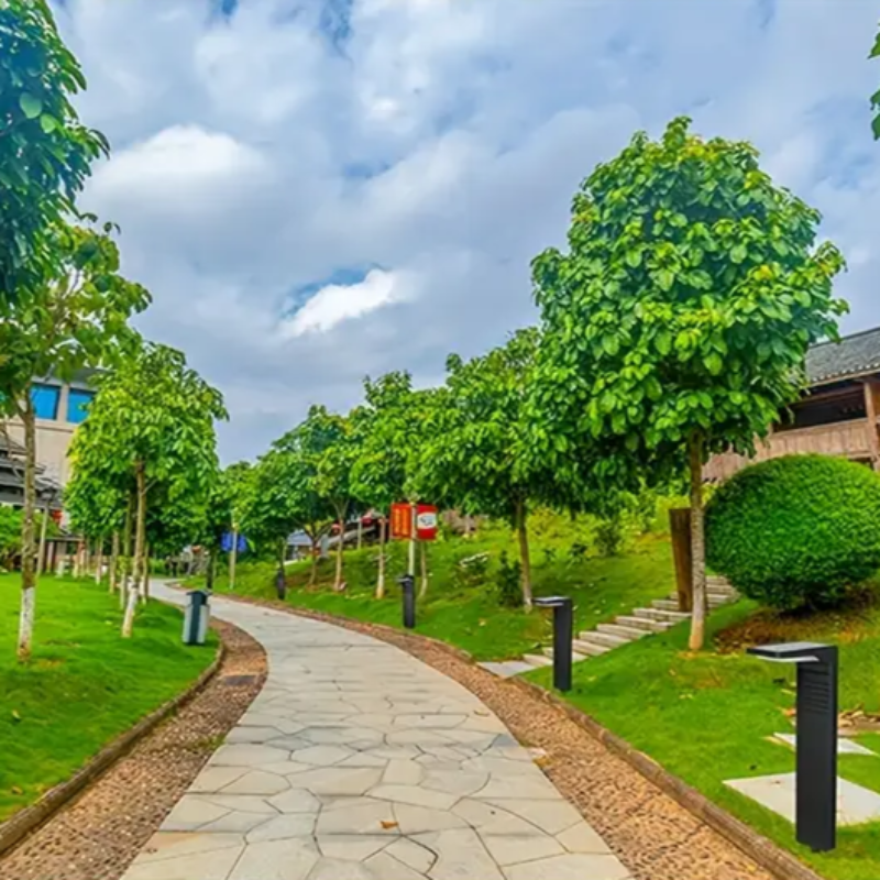 Ilumine o seu jardim sem eletricidade nem esforço 