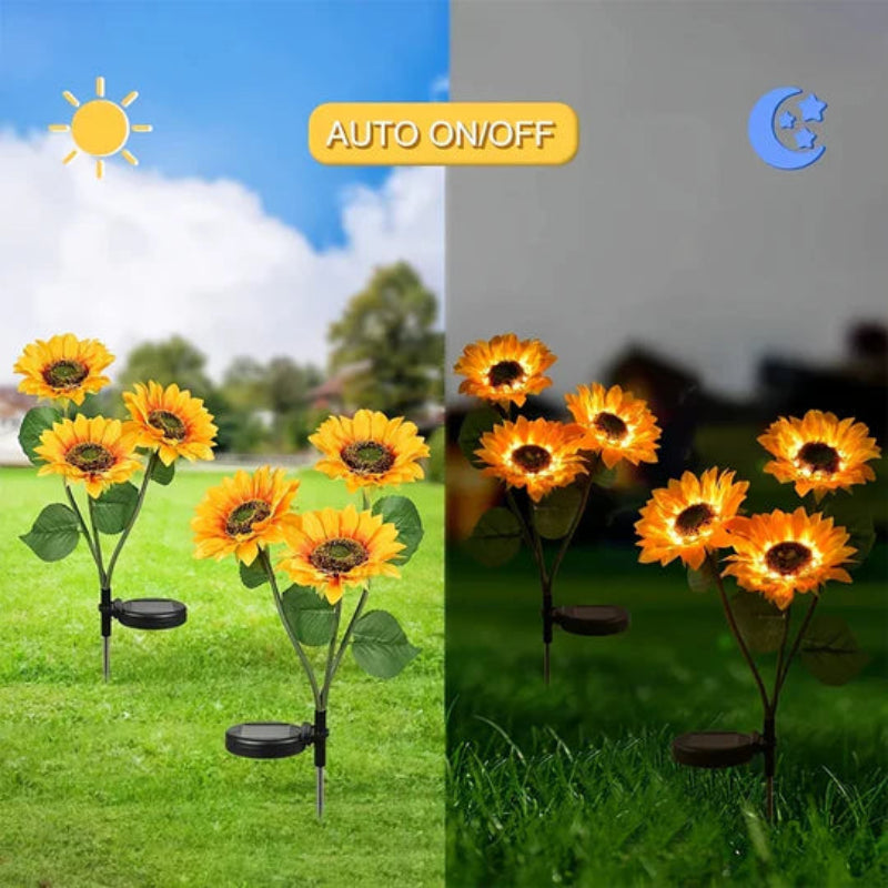 Éclairez votre jardin avec des tournesols solaires
